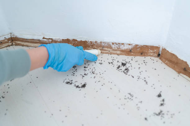 Professional Pest Control in Greenville, AL